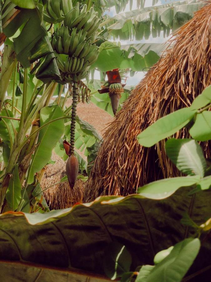 Aldea Che-Eek , Con Acceso A Un Club De Playa Privado Hotel Bacalar Ngoại thất bức ảnh